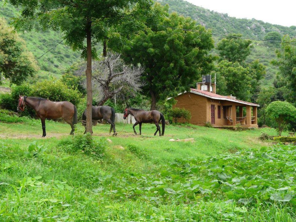 Krishna Ranch Villa อุเดเปอร์ ภายนอก รูปภาพ